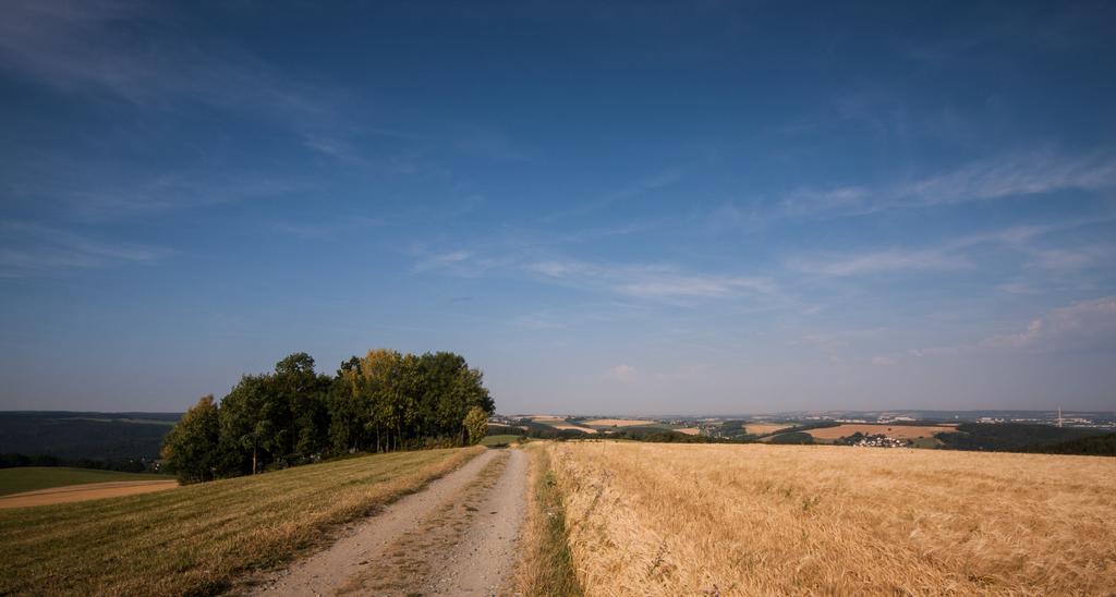 Hotel Landgasthof Dittersdorfer Hoehe 3*